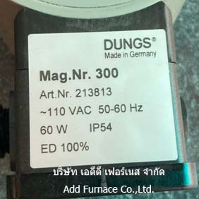 Mag.Nr.300 Art.Nr.213813~110VAC 50-60Hz Dungs